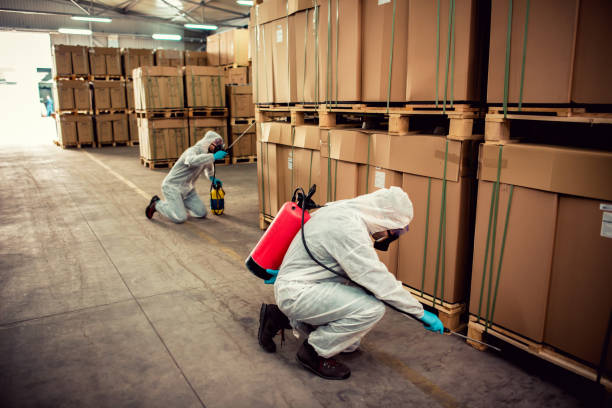 Best Affordable Pest Control Services  in Norwood, OH