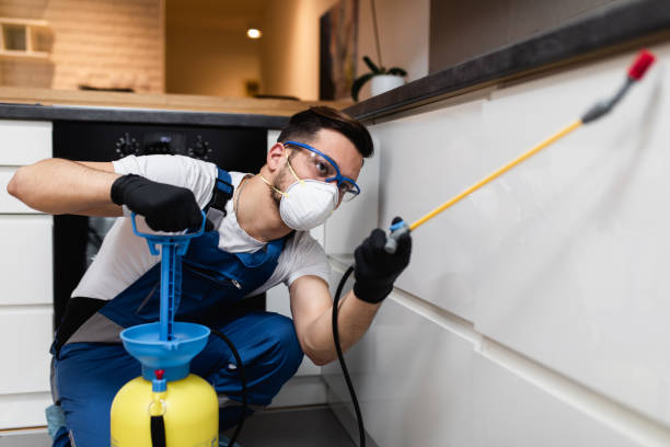 Reliable Norwood, OH Pest Control Solutions