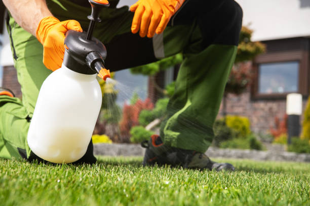 Best Flea Control Services  in Norwood, OH
