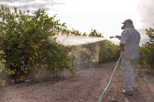 Best Emergency Pest Control  in Norwood, OH
