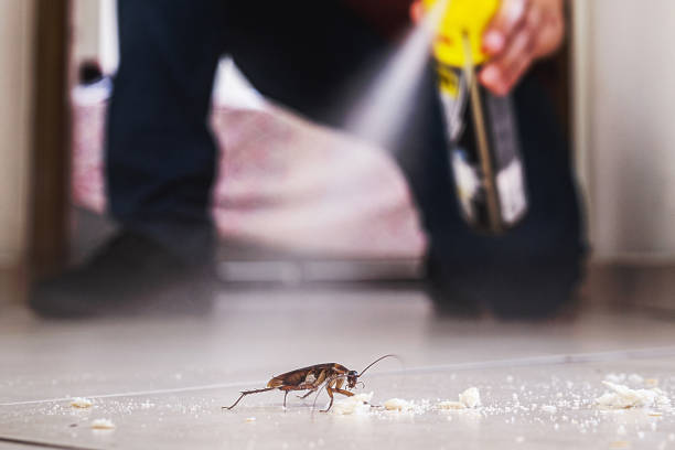 Pest Prevention Services in Norwood, OH