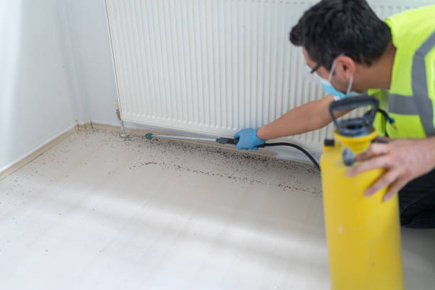 Best Pest Prevention Services  in Norwood, OH