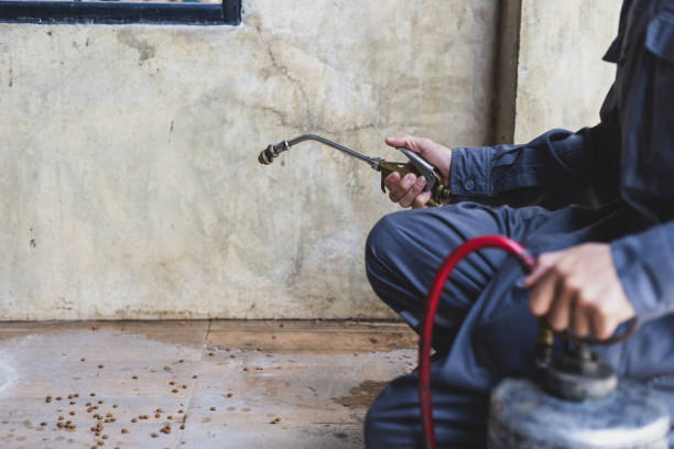 Best Pest Removal Services  in Norwood, OH